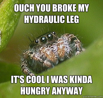 ouch you broke my hydraulic leg it's cool i was kinda hungry anyway  Misunderstood Spider