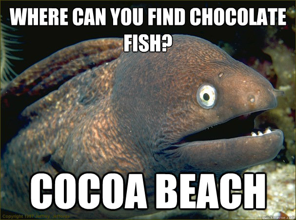 Where can you find chocolate fish? Cocoa beach - Where can you find chocolate fish? Cocoa beach  Bad Joke Eel