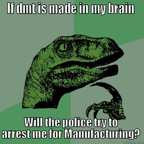 IF DMT IS MADE IN MY BRAIN WILL THE POLICE TRY TO ARREST ME FOR MANUFACTURING? Philosoraptor