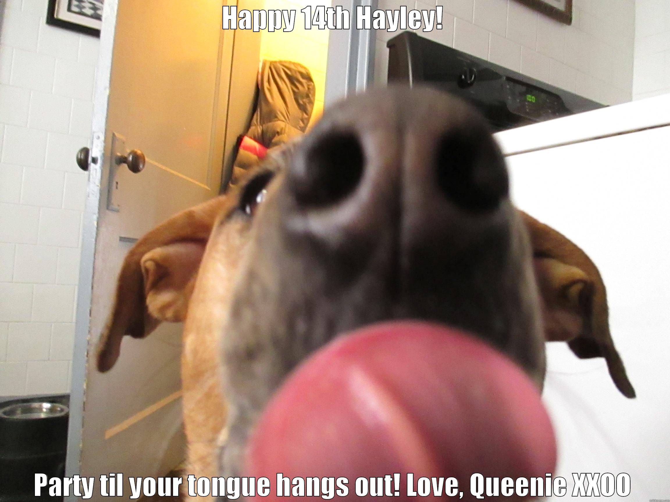 Happy 14th Birthday Hayley - HAPPY 14TH HAYLEY! PARTY TIL YOUR TONGUE HANGS OUT! LOVE, QUEENIE XXOO Misc