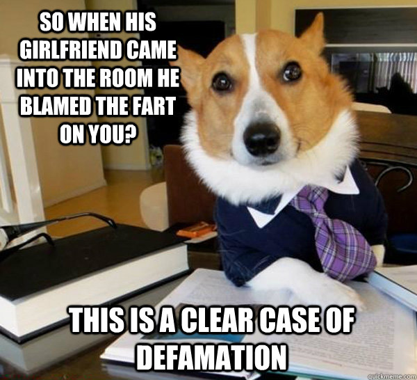 So when his girlfriend came into the room he blamed the fart on you? This is a clear case of defamation  Lawyer Dog