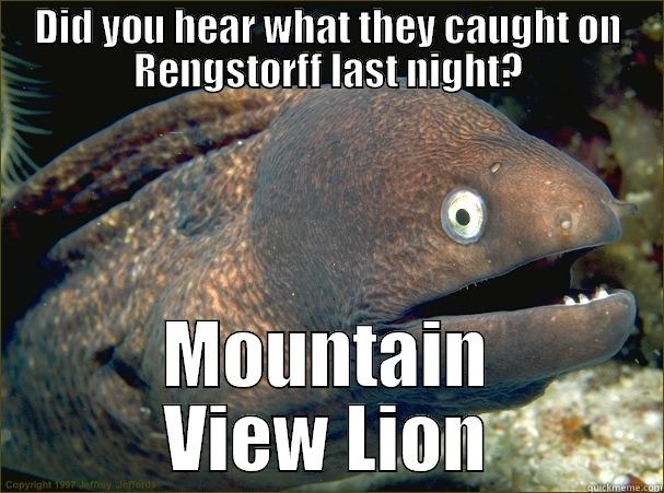 Mountain Lion caught on Rengstorff  - DID YOU HEAR WHAT THEY CAUGHT ON RENGSTORFF LAST NIGHT? MOUNTAIN VIEW LION Bad Joke Eel