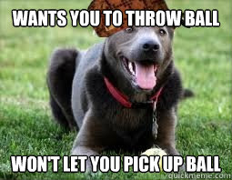 Wants you to throw ball Won't let you pick up ball  Scumbag dog