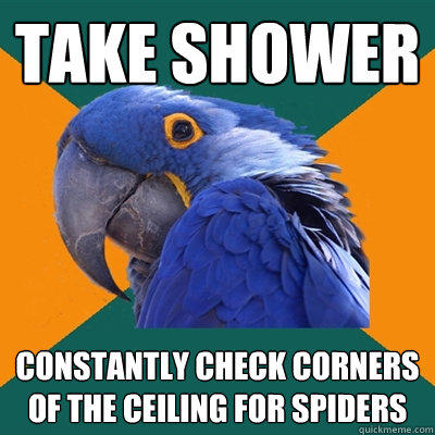 take shower constantly check corners of the ceiling for spiders - take shower constantly check corners of the ceiling for spiders  Paranoid Parrot