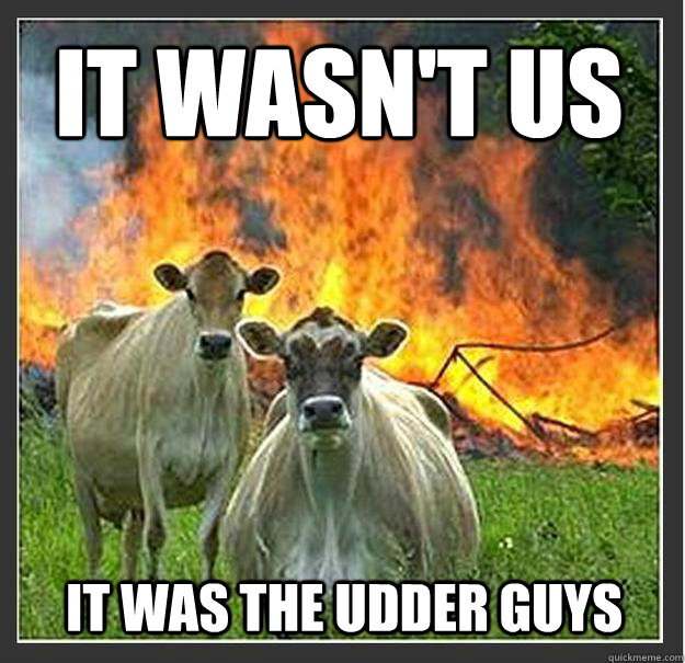 it wasn't us it was the udder guys - it wasn't us it was the udder guys  Evil cows