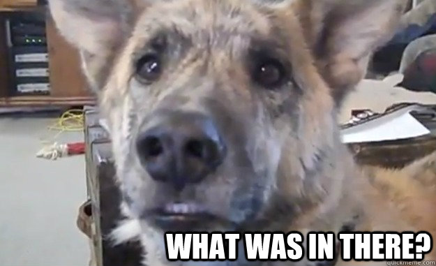 What was in there?  ultimate dog tease