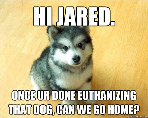 Hi jared. once ur done euthanizing that dog, can we go home?  Baby Courage Wolf