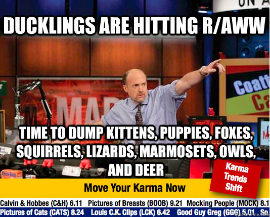 Ducklings are hitting r/aww time to dump kittens, puppies, foxes, squirrels, lizards, marmosets, owls, and deer  Mad Karma with Jim Cramer