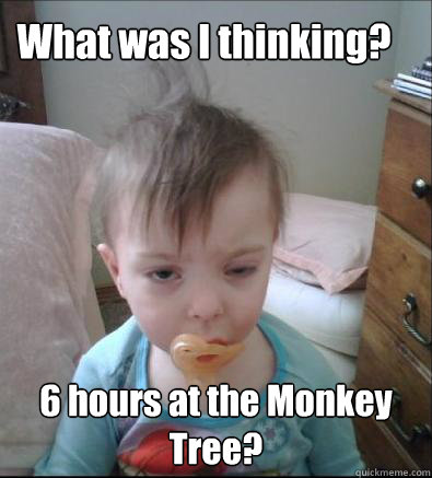 What was I thinking? 6 hours at the Monkey Tree?  Party Toddler