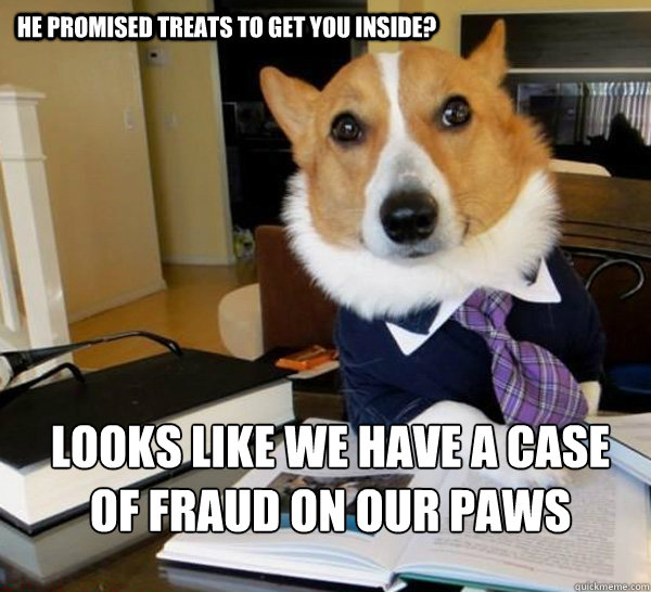 he promised treats to get you inside? looks like we have a case of fraud on our paws - he promised treats to get you inside? looks like we have a case of fraud on our paws  Lawyer Dog