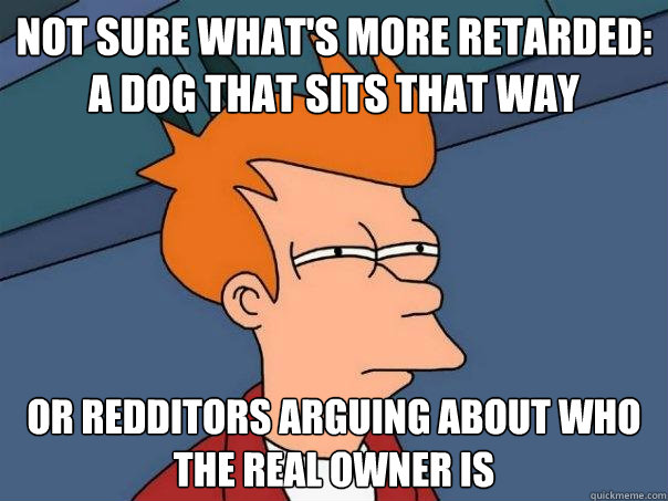 Not sure what's more retarded: A dog that sits that way Or redditors arguing about who the real owner is  Futurama Fry