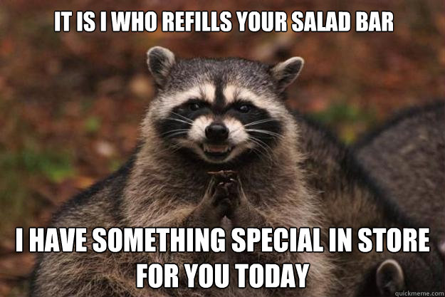 It is i who refills your salad bar i have something special in store for you today  Evil Plotting Raccoon