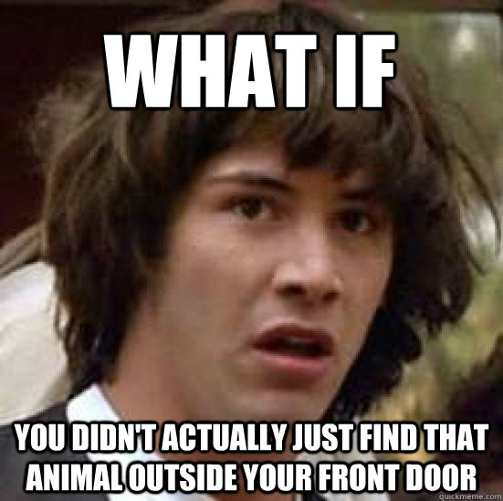 What if  you didn't actually just find that animal outside your front door  conspiracy keanu