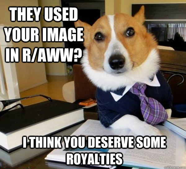 they used your image in r/aww? I think you deserve some royalties  Lawyer Dog