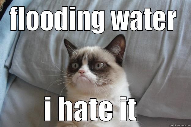 lol xf - FLOODING WATER I HATE IT  Grumpy Cat