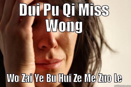 DUI PU QI MISS WONG WO ZAI YE BU HUI ZE ME ZUO LE First World Problems