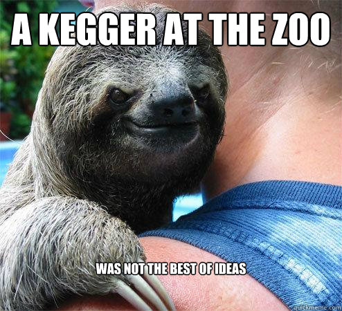 A kegger at the zoo was not the best of ideas  Suspiciously Evil Sloth