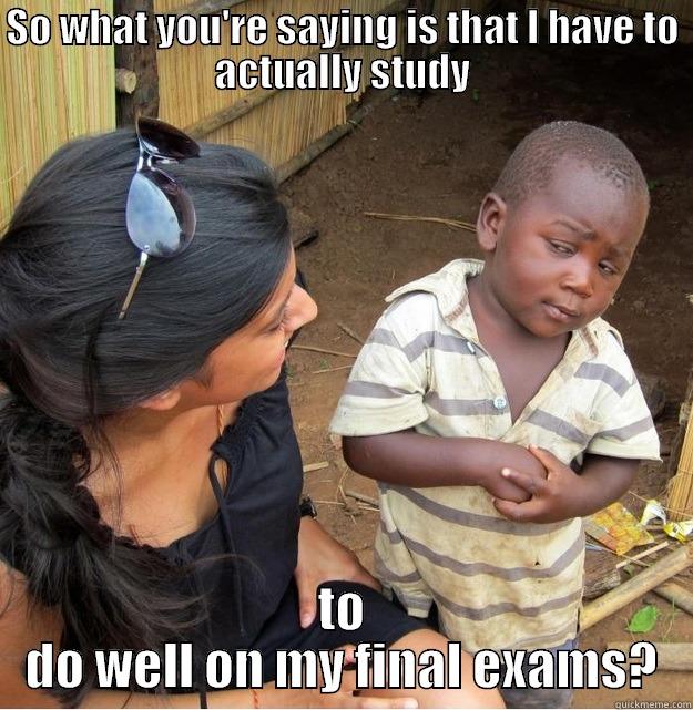 SO WHAT YOU'RE SAYING IS THAT I HAVE TO ACTUALLY STUDY TO DO WELL ON MY FINAL EXAMS? Skeptical Third World Kid