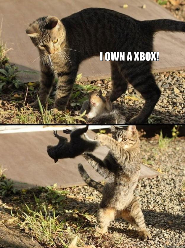 I own a Xbox!  Annoying Squirrel