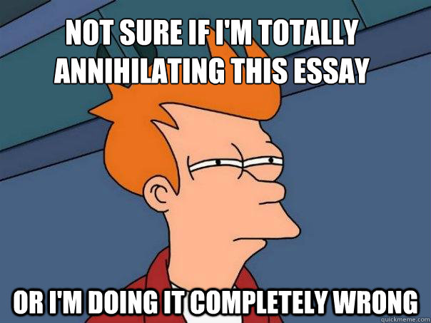 not sure if i'm totally annihilating this essay or i'm doing it completely wrong  Futurama Fry