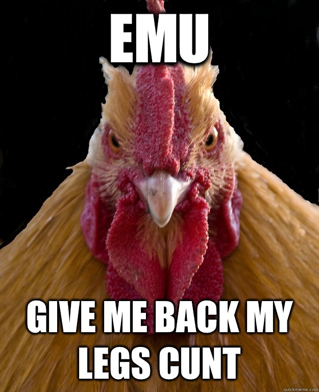 Emu Give me back my legs cunt - Emu Give me back my legs cunt  Angry Chicken