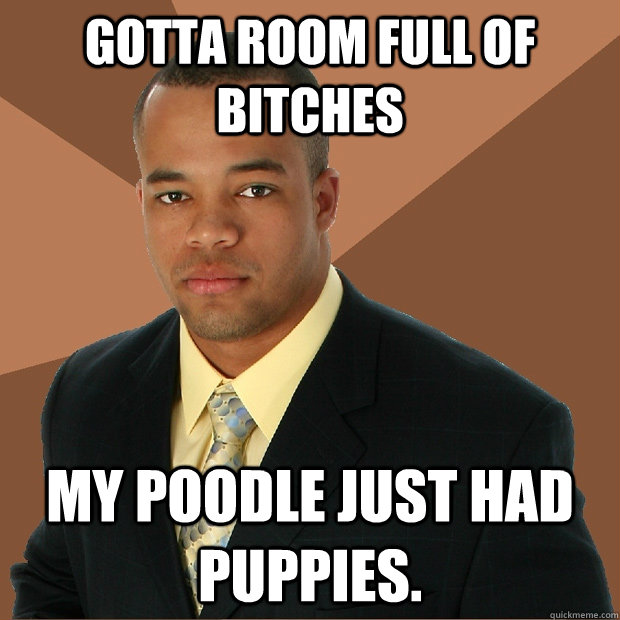 Gotta room full of bitches My poodle just had puppies.  Successful Black Man