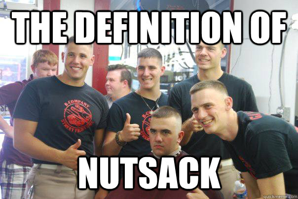 The Definition of nutsack - The Definition of nutsack  joe the nut