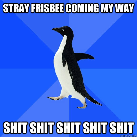 stray frisbee coming my way shit shit shit shit shit   Socially Awkward Penguin