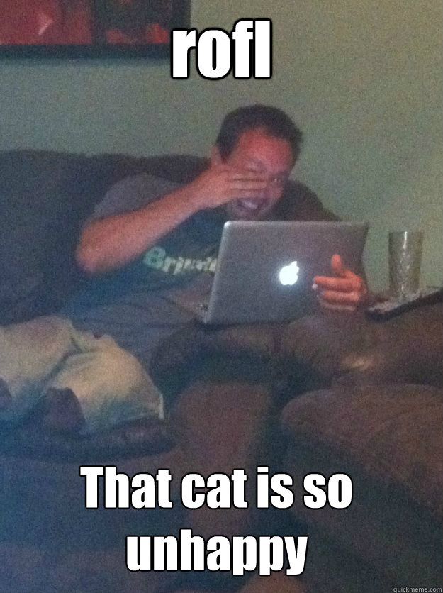 rofl That cat is so unhappy  MEME DAD