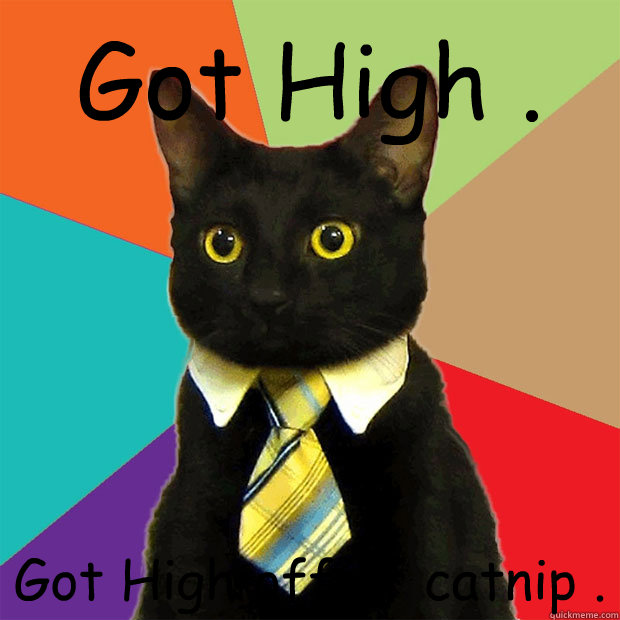 Got High . Got High off of catnip .  Business Cat