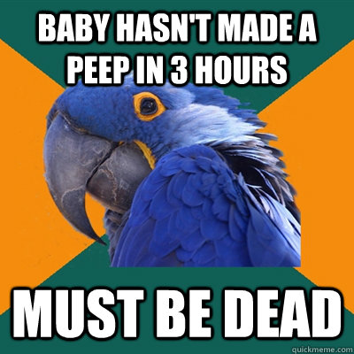 Baby hasn't made a peep in 3 hours  Must be dead  Paranoid Parrot