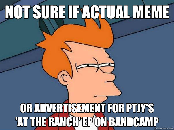 Not sure if actual meme Or advertisement for PTJY's 
'At the Ranch' EP on bandcamp  Futurama Fry