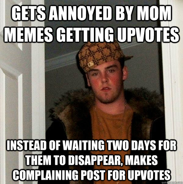 Gets annoyed by mom memes getting upvotes instead of waiting two days for them to disappear, makes complaining post for upvotes  Scumbag Steve