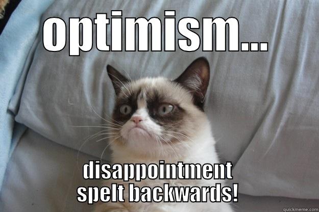 OPTIMISM... DISAPPOINTMENT SPELT BACKWARDS! Grumpy Cat