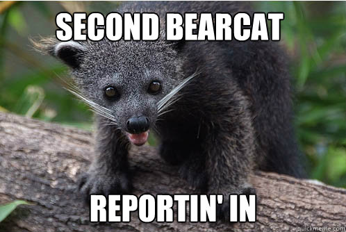 Second Bearcat Reportin' in  