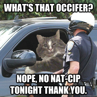 What's that occifer? Nope, no nat-cip tonight thank you. - What's that occifer? Nope, no nat-cip tonight thank you.  Cat Pulled Over