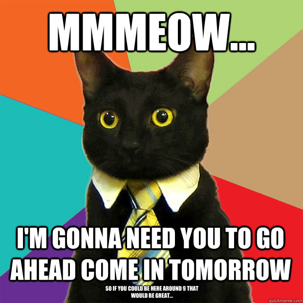 MMMeow... I'm gonna need you to go ahead come in tomorrow So if you could be here around 9 that would be great... - MMMeow... I'm gonna need you to go ahead come in tomorrow So if you could be here around 9 that would be great...  Business Cat