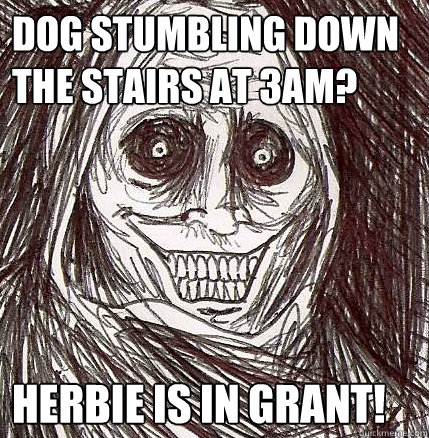 Dog stumbling down the stairs at 3am? Herbie is in Grant!  Horrifying Houseguest