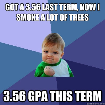 Got a 3.56 last term, now i smoke a lot of trees 3.56 GPA This term  Success Kid