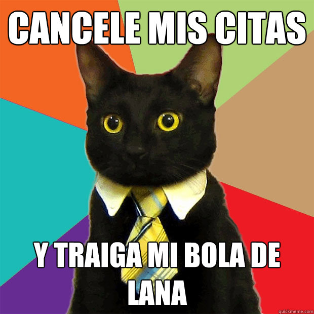 cancele mis citas  y traiga mi bola de lana   Business Cat