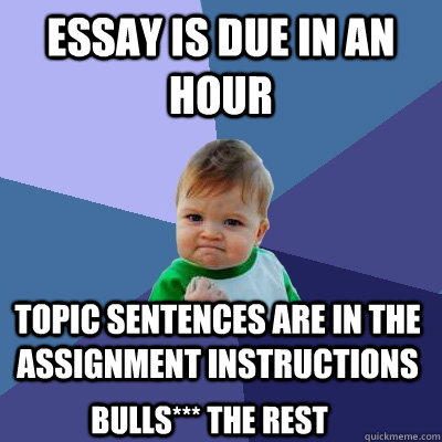 Essay is due in an hour topic sentences are in the assignment instructions BullS*** the rest  Success Kid