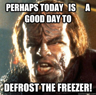 perhaps today   IS      a good day to defrost the FReezer! - perhaps today   IS      a good day to defrost the FReezer!  Angry Worf