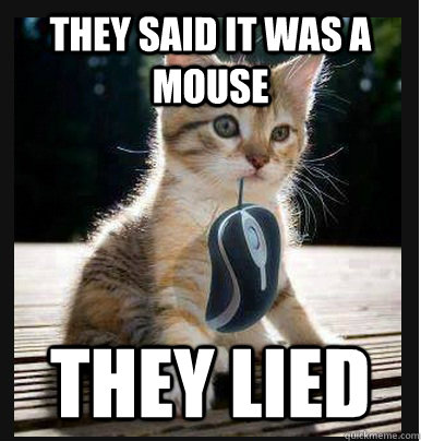 They said it was a mouse they lied  