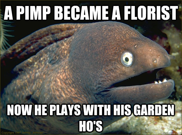 A pimp became a florist Now he plays with his garden ho's  Bad Joke Eel