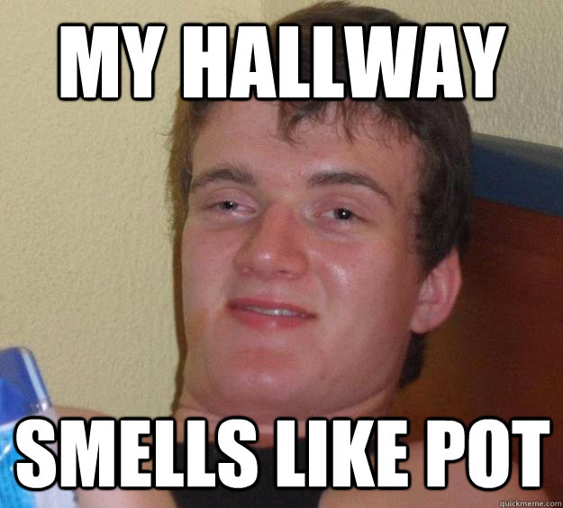 My hallway smells like pot  10 Guy