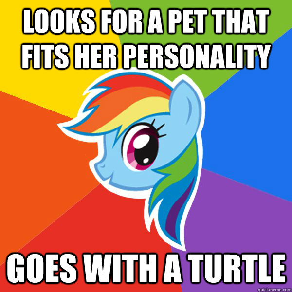 Looks for a pet that fits her personality Goes with a turtle  Rainbow Dash