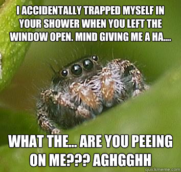 I accidentally trapped myself in your shower when you left the window open. Mind giving me a ha.... What the... are you peeing on me??? Aghgghh  Misunderstood Spider