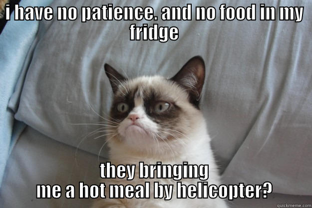 I HAVE NO PATIENCE. AND NO FOOD IN MY FRIDGE THEY BRINGING ME A HOT MEAL BY HELICOPTER? Grumpy Cat