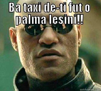 BA TAXI DE-TI FUT O PALMA LESINI!!  Matrix Morpheus