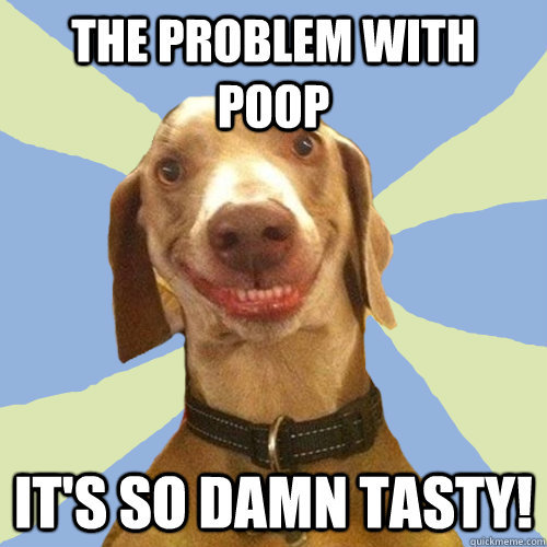 The problem with poop it's so damn tasty!  Disgusting Doggy